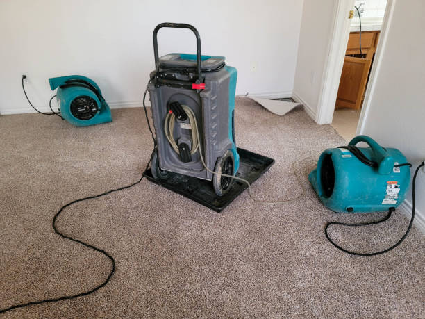 Best 24/7 water damage repair  in Stansberry Lake, WA