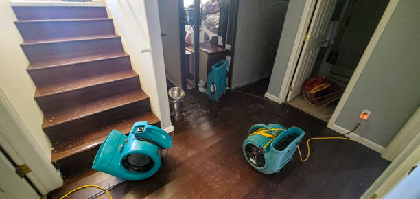  Stansberry Lake, WA Water damage restoration Pros