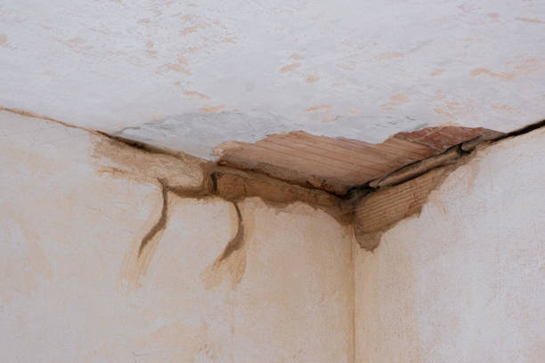 Best Professional water damage repair  in Stansberry Lake, WA