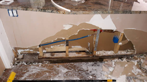 Best Local water damage restoration  in Stansberry Lake, WA