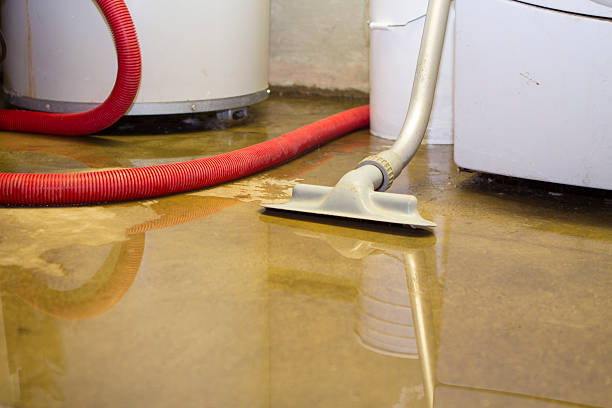 Best Water damage contractors near me  in Stansberry Lake, WA