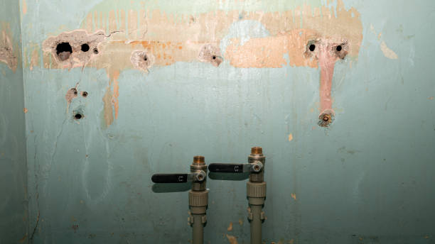 Best 24-hour water damage restoration  in Stansberry Lake, WA