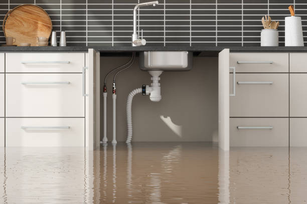 Best Fire Damage Restoration  in Stansberry Lake, WA